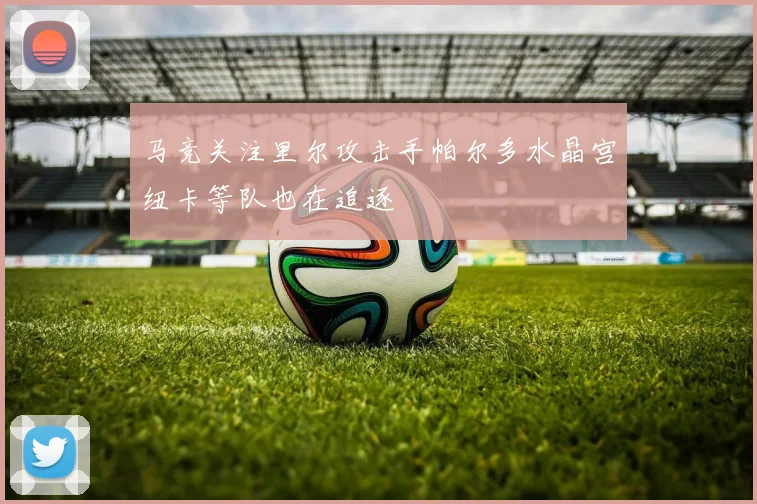 马竞关注里尔攻击手帕尔多水晶宫纽卡等队也在追逐