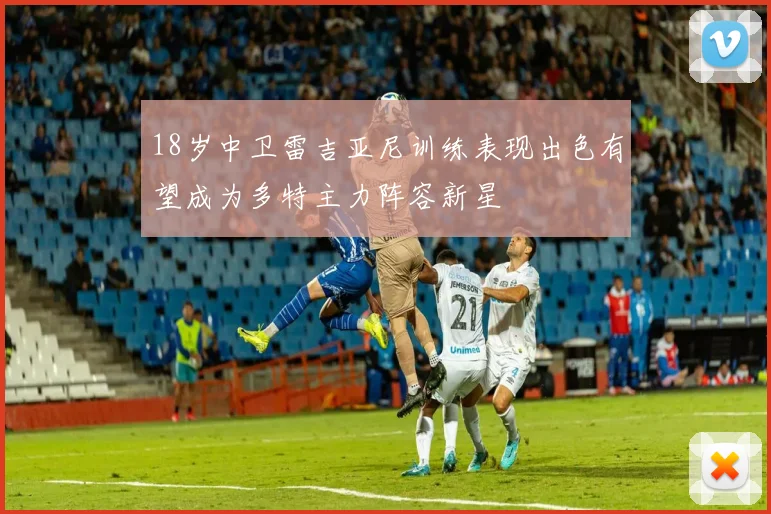 18岁中卫雷吉亚尼训练表现出色有望成为多特主力阵容新星